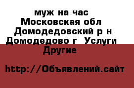 муж на час - Московская обл., Домодедовский р-н, Домодедово г. Услуги » Другие   